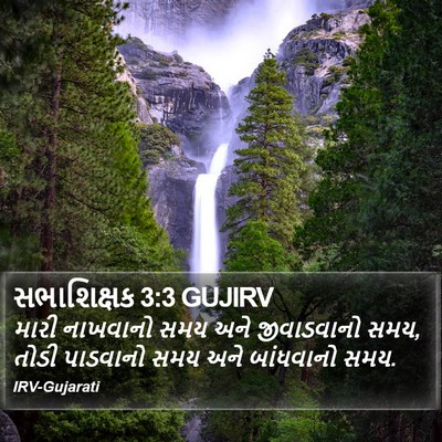 સભાશિક્ષક 3:3 GUJIRV Bible Verse Image