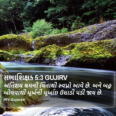 સભાશિક્ષક 5:3 GUJIRV Bible Verse Image