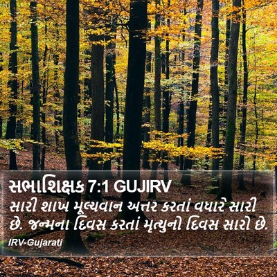સભાશિક્ષક 7:1 GUJIRV Bible Verse Image