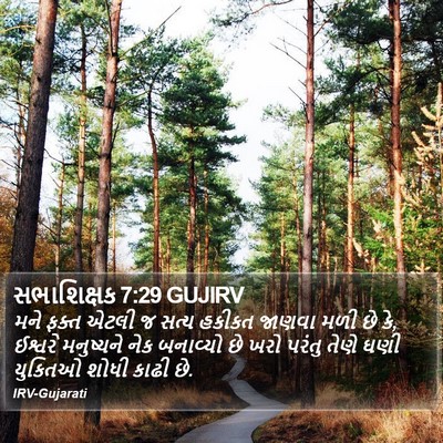સભાશિક્ષક 7:29 GUJIRV Bible Verse Image