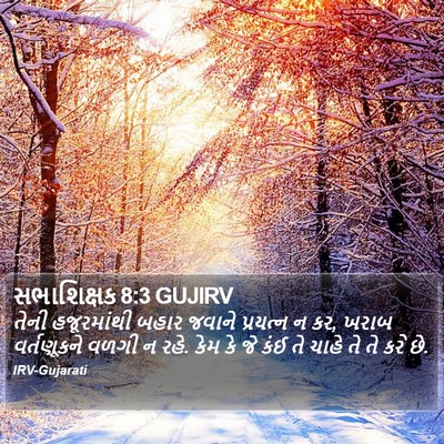 સભાશિક્ષક 8:3 GUJIRV Bible Verse Image