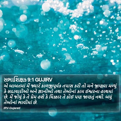 સભાશિક્ષક 9:1 GUJIRV Bible Verse Image