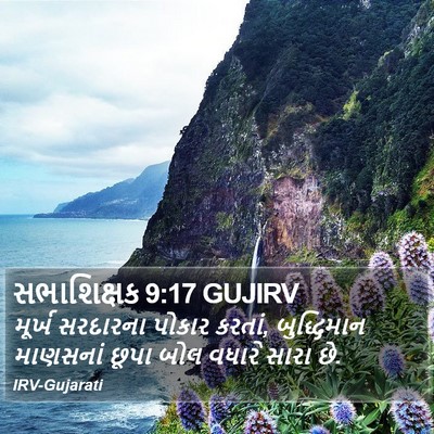 સભાશિક્ષક 9:17 GUJIRV Bible Verse Image