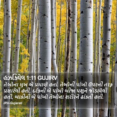 હઝકિયેલ 1:11 GUJIRV Bible Verse Image