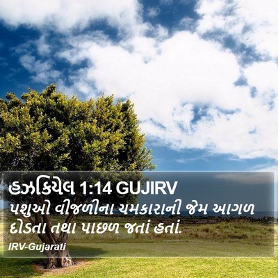હઝકિયેલ 1:14 GUJIRV Bible Verse Image