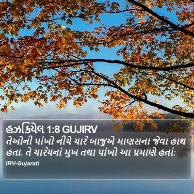 હઝકિયેલ 1:8 GUJIRV Bible Verse Image