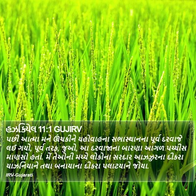 હઝકિયેલ 11:1 GUJIRV Bible Verse Image