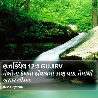 હઝકિયેલ 12:5 GUJIRV Bible Verse Image
