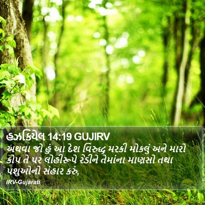 હઝકિયેલ 14:19 GUJIRV Bible Verse Image