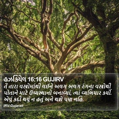 હઝકિયેલ 16:16 GUJIRV Bible Verse Image
