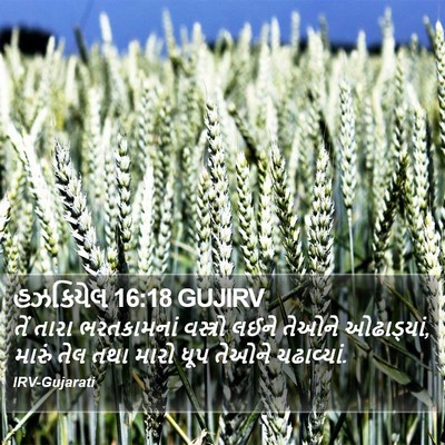 હઝકિયેલ 16:18 GUJIRV Bible Verse Image
