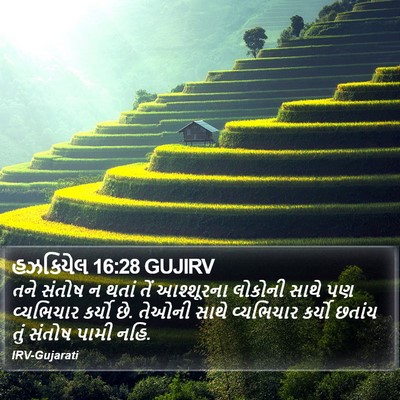 હઝકિયેલ 16:28 GUJIRV Bible Verse Image