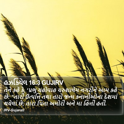 હઝકિયેલ 16:3 GUJIRV Bible Verse Image