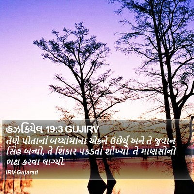 હઝકિયેલ 19:3 GUJIRV Bible Verse Image