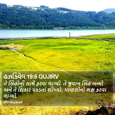 હઝકિયેલ 19:6 GUJIRV Bible Verse Image