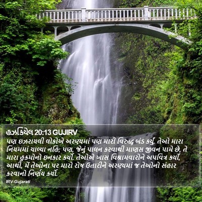 હઝકિયેલ 20:13 GUJIRV Bible Verse Image