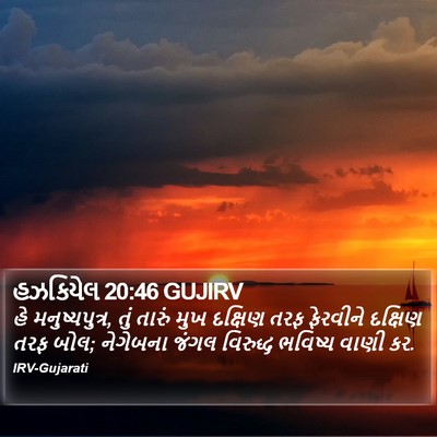 હઝકિયેલ 20:46 GUJIRV Bible Verse Image