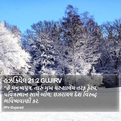 હઝકિયેલ 21:2 GUJIRV Bible Verse Image