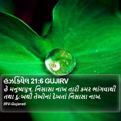 હઝકિયેલ 21:6 GUJIRV Bible Verse Image