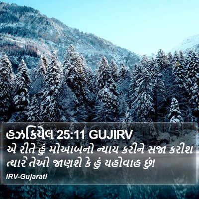 હઝકિયેલ 25:11 GUJIRV Bible Verse Image