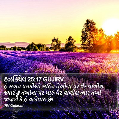 હઝકિયેલ 25:17 GUJIRV Bible Verse Image