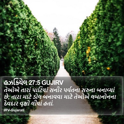 હઝકિયેલ 27:5 GUJIRV Bible Verse Image
