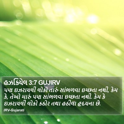 હઝકિયેલ 3:7 GUJIRV Bible Verse Image