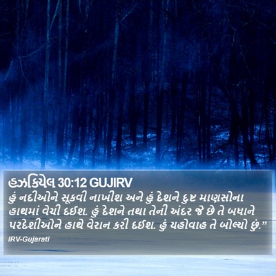 હઝકિયેલ 30:12 GUJIRV Bible Verse Image