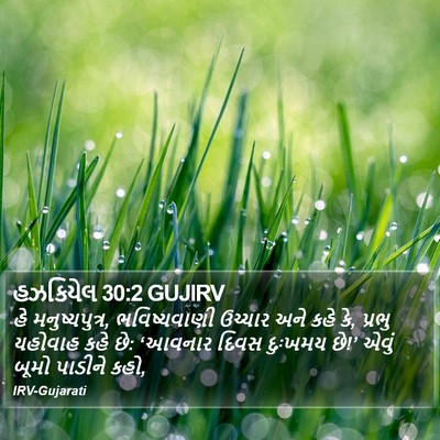 હઝકિયેલ 30:2 GUJIRV Bible Verse Image