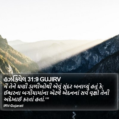 હઝકિયેલ 31:9 GUJIRV Bible Verse Image