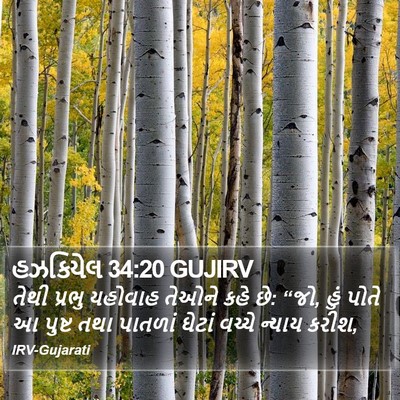 હઝકિયેલ 34:20 GUJIRV Bible Verse Image