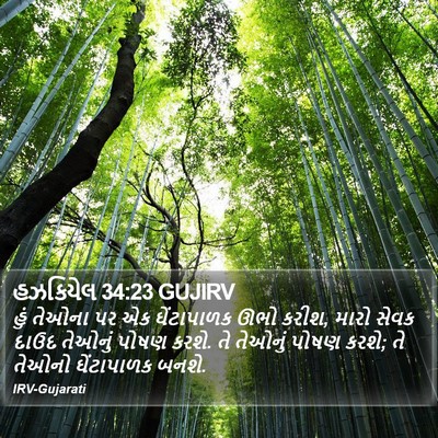 હઝકિયેલ 34:23 GUJIRV Bible Verse Image