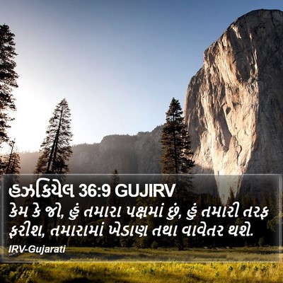 હઝકિયેલ 36:9 GUJIRV Bible Verse Image
