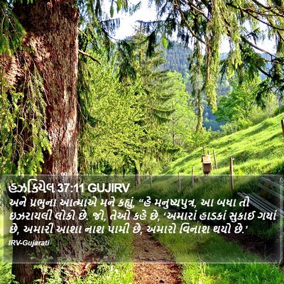 હઝકિયેલ 37:11 GUJIRV Bible Verse Image