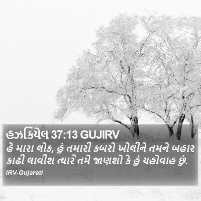 હઝકિયેલ 37:13 GUJIRV Bible Verse Image