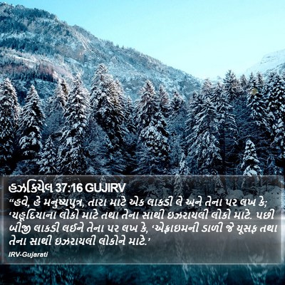 હઝકિયેલ 37:16 GUJIRV Bible Verse Image