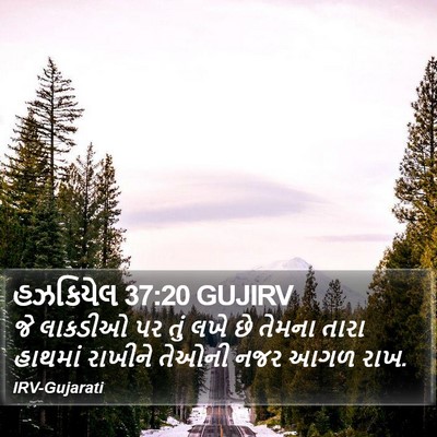 હઝકિયેલ 37:20 GUJIRV Bible Verse Image