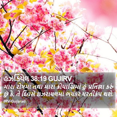 હઝકિયેલ 38:19 GUJIRV Bible Verse Image