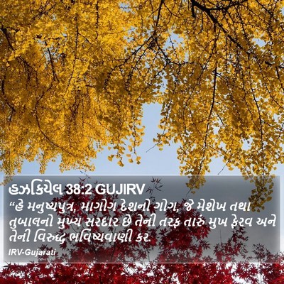 હઝકિયેલ 38:2 GUJIRV Bible Verse Image