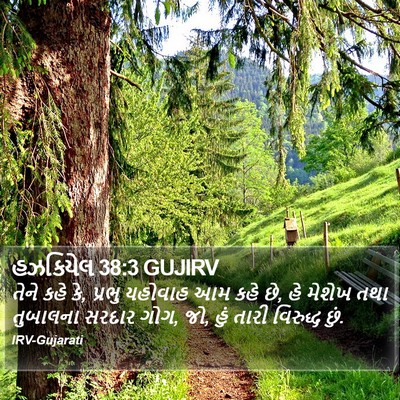 હઝકિયેલ 38:3 GUJIRV Bible Verse Image