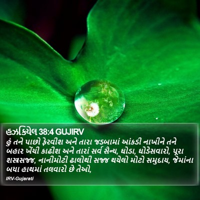 હઝકિયેલ 38:4 GUJIRV Bible Verse Image