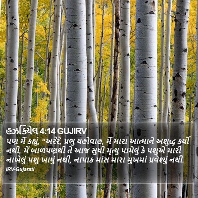 હઝકિયેલ 4:14 GUJIRV Bible Verse Image
