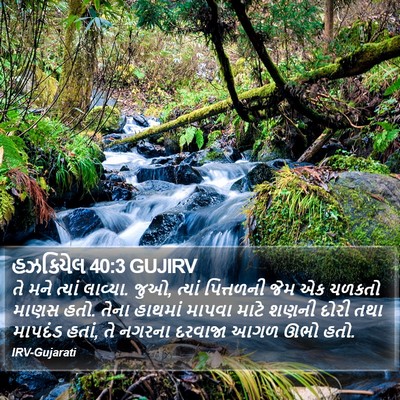 હઝકિયેલ 40:3 GUJIRV Bible Verse Image