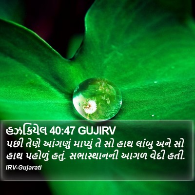 હઝકિયેલ 40:47 GUJIRV Bible Verse Image