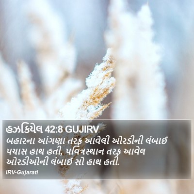 હઝકિયેલ 42:8 GUJIRV Bible Verse Image