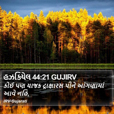 હઝકિયેલ 44:21 GUJIRV Bible Verse Image