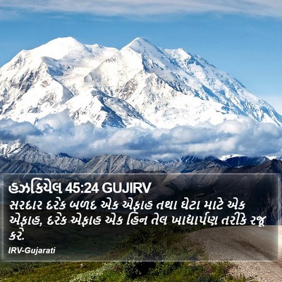 હઝકિયેલ 45:24 GUJIRV Bible Verse Image