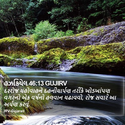 હઝકિયેલ 46:13 GUJIRV Bible Verse Image