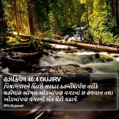 હઝકિયેલ 46:4 GUJIRV Bible Verse Image