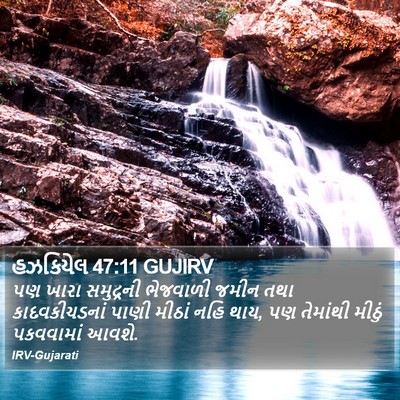 હઝકિયેલ 47:11 GUJIRV Bible Verse Image
